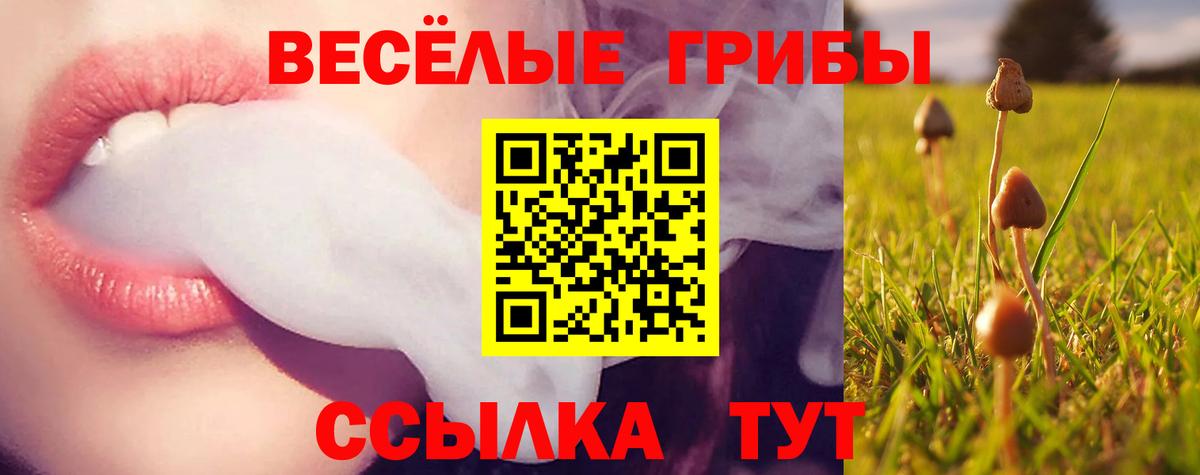 Галлюциногенные грибы прущие грибы Нягань